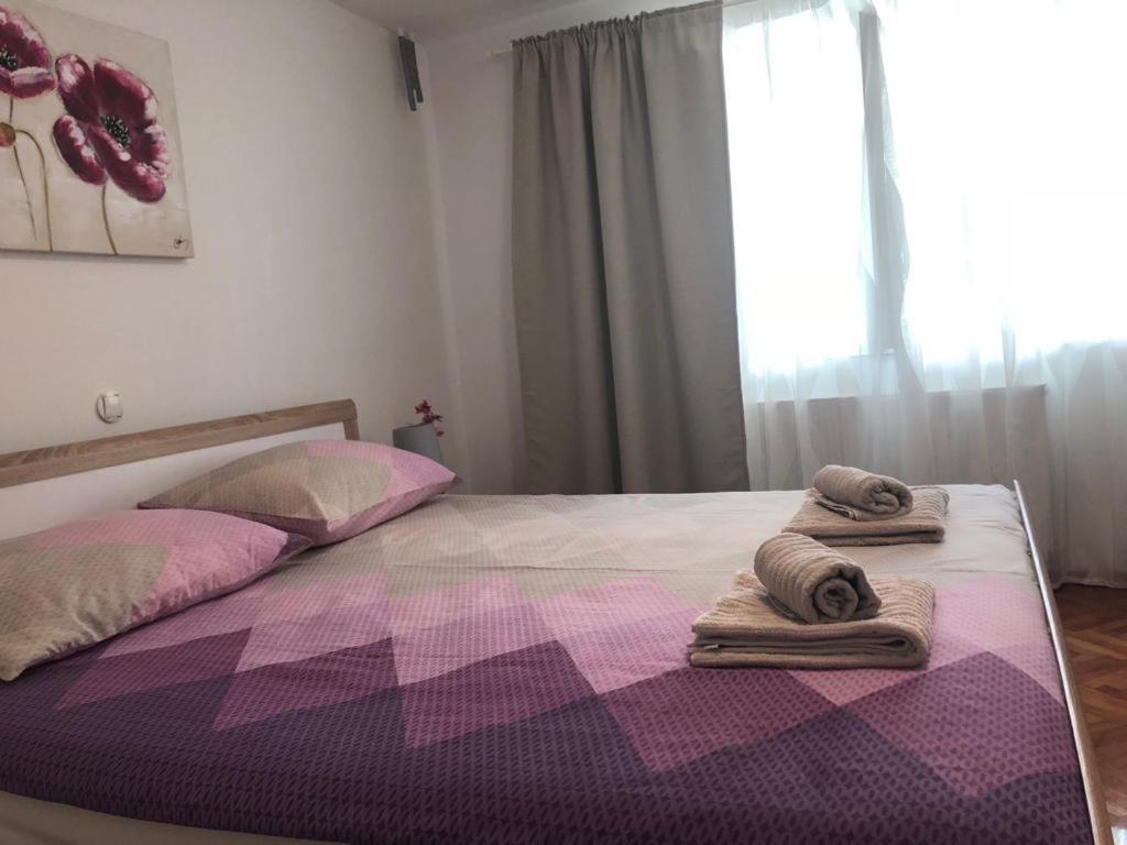 Apartments Barbara سينج المظهر الخارجي الصورة